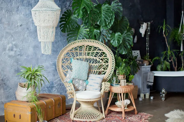 Ротанговый павлин стул и большое растение монстров в мансарде — стоковое фото