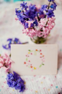 Lila ve pembe sümbül