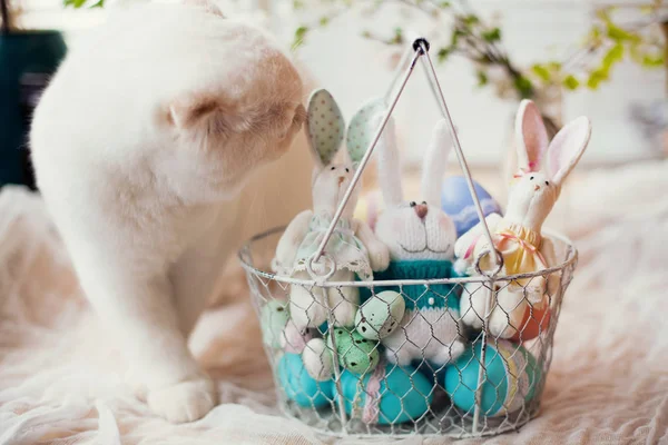 篮子与复活节彩蛋和可爱的兔子 — 图库照片
