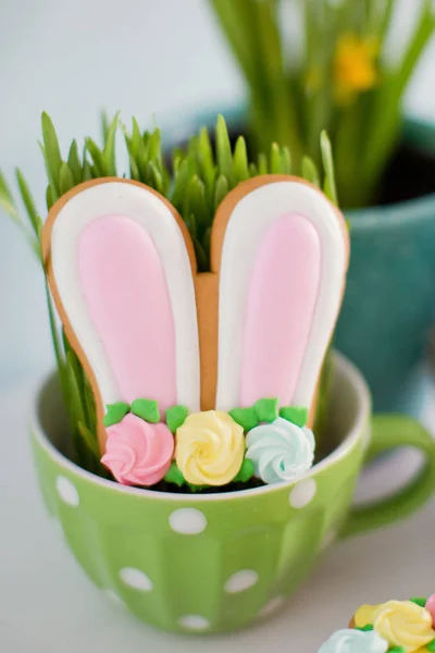 Cute easter cookies — Stock Photo, Image