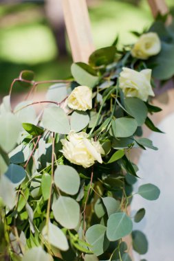 beyaz gül ve okaliptüs