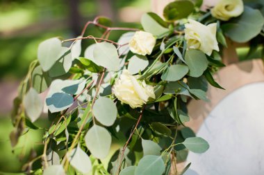 beyaz gül ve okaliptüs