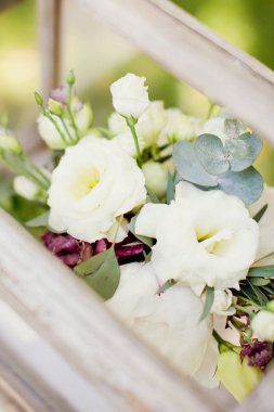 pembe ve beyaz çiçekler