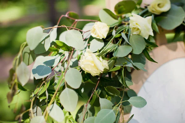 beyaz gül ve okaliptüs