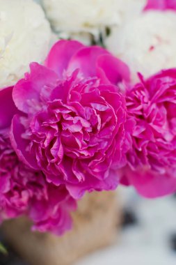 Beyaz ve pembe peonies