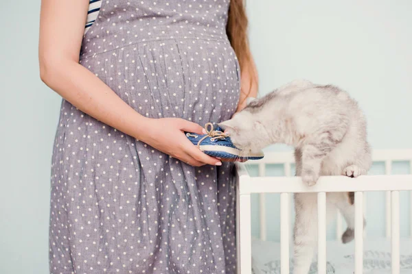 Mulher grávida e gato cinza — Fotografia de Stock