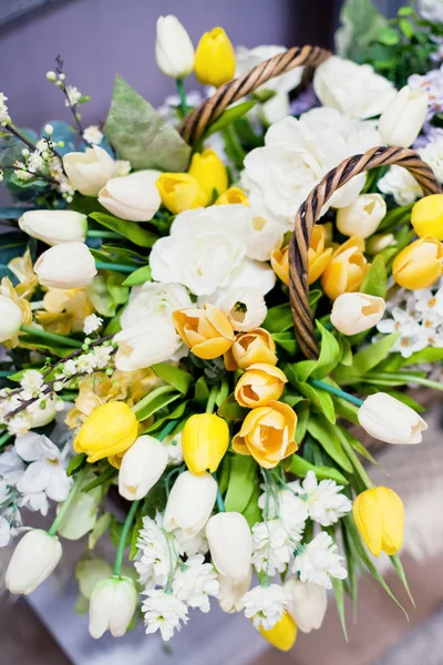 Tulipani gialli e bianchi nel cestino — Foto Stock
