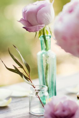 vintage şişelerde çiçek