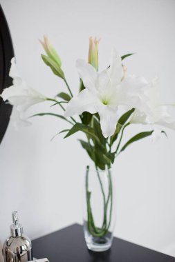 cam vazoda Beyaz Zambak