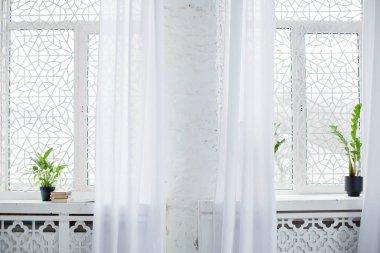 büyük pencere ve çiçek kaplar