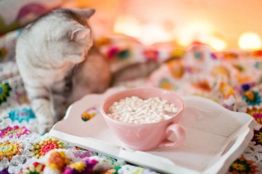 Marshmallow ile kedi ve pembe fincan