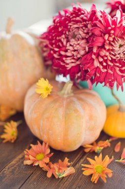 kabaklar ve çiçekler