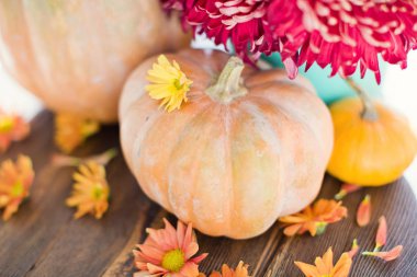 kabaklar ve çiçekler