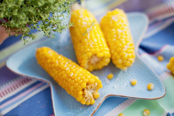 Tasty boiled corn with herbs and sea salt — Stock Photo, Image