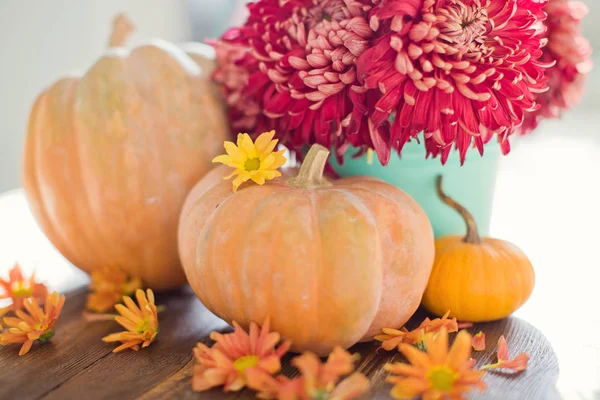 kabaklar ve çiçekler