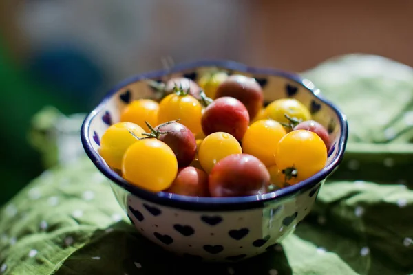 Małe żółte i czerwone pomidory — Zdjęcie stockowe