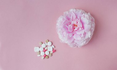 Alerji konsepti, çiçek ve hap. Pembe şakayık ve pembe arka planda çeşitli haplar.