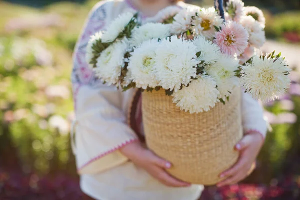 ウクライナの伝統的なシャツの女性は 藁袋に白とピンクの菊の花束を保持しています 秋のコンセプトは 花と太陽の下でフィールドを歩く — ストック写真