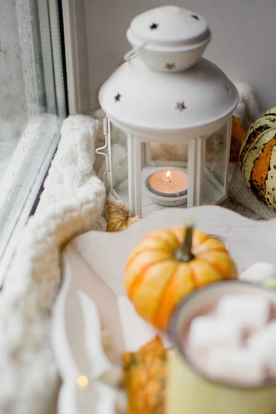 White lantern with burning candle and autumn decorations. Orange pumpkins, wooden tray and lantern on a white knit sweater on the windowsill