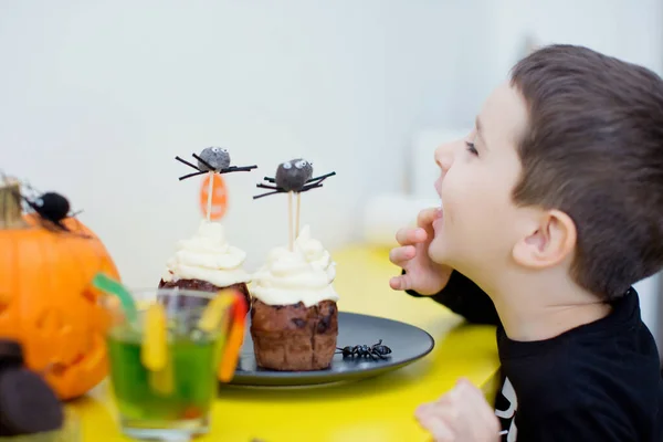 Boy eats sweets on Halloween party. Toddler caucasian boy eats Halloween muffins or cupcakes with white cream and spiders decorations. Tasty and scary food on Halloween party