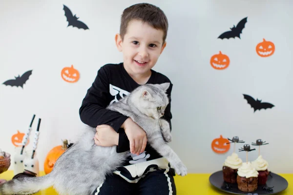 Toddler caucasian boy and grey cat on Halloween party. Halloween decorations and sweets, Halloween party at home