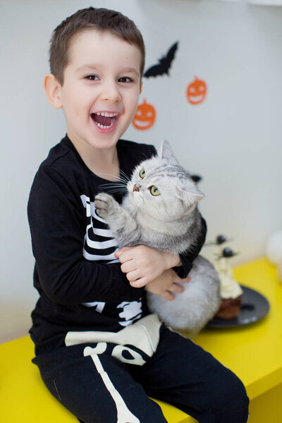 Toddler caucasian boy and grey cat on Halloween party. Halloween decorations and sweets, Halloween party at home