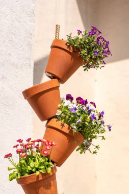 dekorasyon olarak yığılmış renkli saksılar dikilmiş