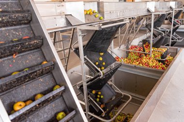 Elma suyu sıkmaya hazır, olgun elmalar.