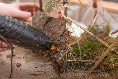 Çocuk Noel için dalları ve yosun bir beşik yapıyor