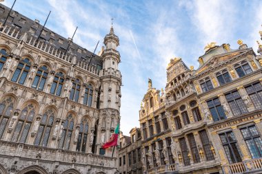 Grand Place Brüksel Belçika Mimarlık