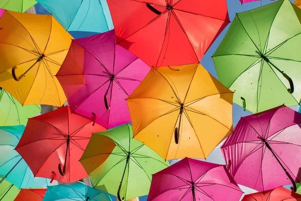 Paraguas decorativos de stock, imágenes de Paraguas decorativos sin |