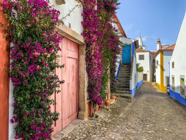 Obidos Portekiz 'in ortaçağ kasabasında çiçekli renkli bir cadde.
