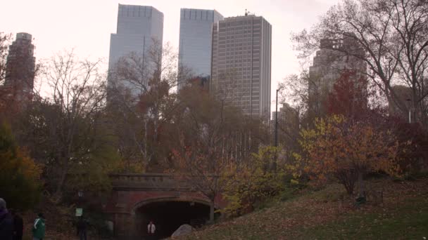 Central Park Avec Fond Nyc — Video