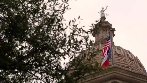 德州国旗在风中飘扬 — 图库视频影像