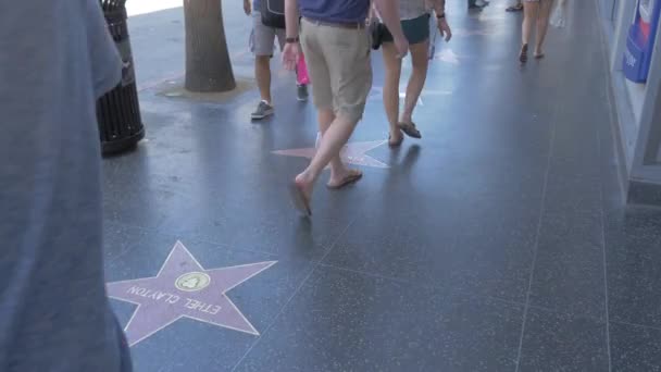 Der Hollywood Walk Fame — Stockvideo