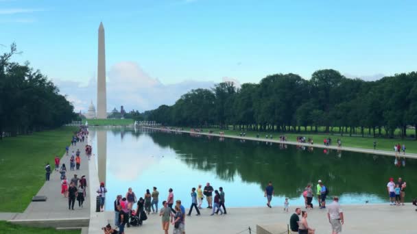 Washington Anıtı Yansıtan Havuzu — Stok video