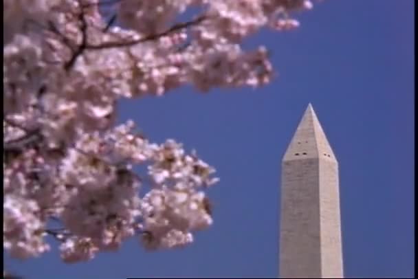 Vídeo Monumento Washington — Vídeo de Stock