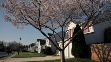 Banliyö mahallesinin videosu