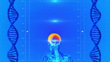 Yüksek teknoloji arka planda ınsan iskelet X-Ray Dikişsiz döngü animasyon