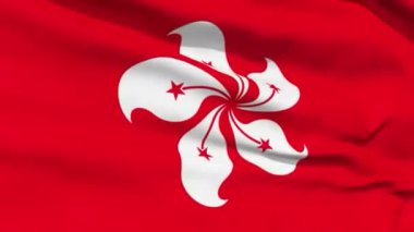 sorunsuz döngü Hong Kong bayrağı rüzgar sallayarak.
