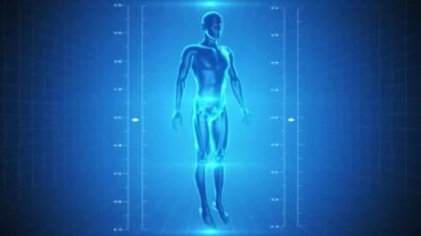 x-ray insan iskelet ve kaslar yüksek teknoloji arka planda kesintisiz döngü video animasyon