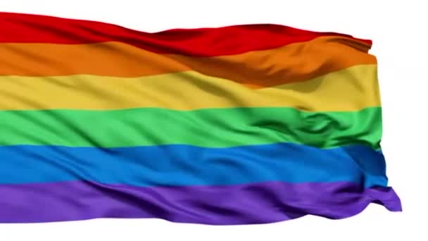详细的慢动作同性恋旗帜在风 — 图库视频影像