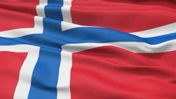 Detaillierte Norwegische Flagge Zeitlupe Wind — Stockvideo