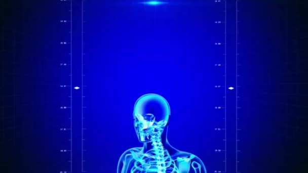 Безшовна Циклічна Анімація Рентгенівського Скелета Людини — стокове відео
