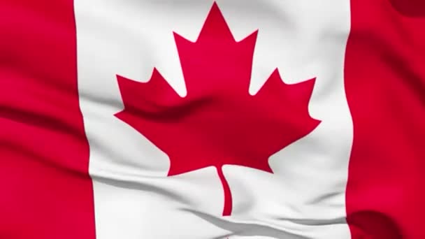 无缝循环的加拿大国旗在风中挥舞 — 图库视频影像