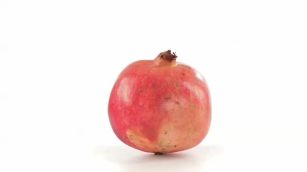 Granat äpple vänster vy — Stockvideo