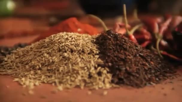 Langsame Pfanne über Paprika und einen Berg mexikanischer Gewürze — Stockvideo