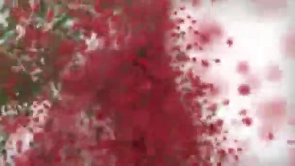 Aardbeien van de deeltjes op een witte achtergrond — Stockvideo