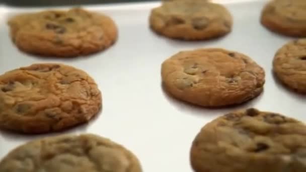 Bandeja de biscoitos de chocolate chip, como espátula remove um biscoito para rack de refrigeração — Vídeo de Stock