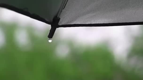 Rain coming down on silver umbrella and making drops of water falling off the edge — Stock Video